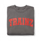 Trainz.com Trainz Official Gray Crew Neck Sweatshirt