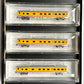 Micro-Trains 99400023 Z Union Pacific Lightweight Sleeper Car (Set of 3) LN/Box