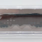 Bachmann 18752 N Conrail 3-Bay Hopper #488506