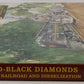 Black Gold - Black Diamonds: The PRR and Dieselization Volume II  Hardcover Book VG