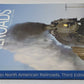 The Historical Guide to North American Railroads -- 3rd Edition Paperback Book VG