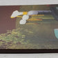 Basic Scenery for Model Railroaders Hardcover Book By Lou Sassi EX
