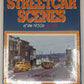 Streetcar Scenes of the 1950s in Color Hardcover Book By LeRoy O. King MT
