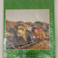 Burlington Northern Santa Fe 1994 Annual Hardcover Book By Robert C. Del Grosso MT