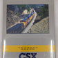 CSX Power In Color Volume 2 Hardcover Book By Kurt Reisweber MT