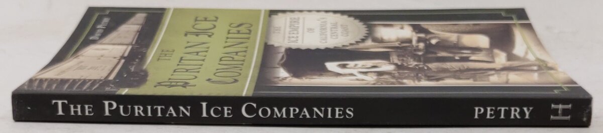 The Puritan Ice Companies Paperback Book By David Petry EX