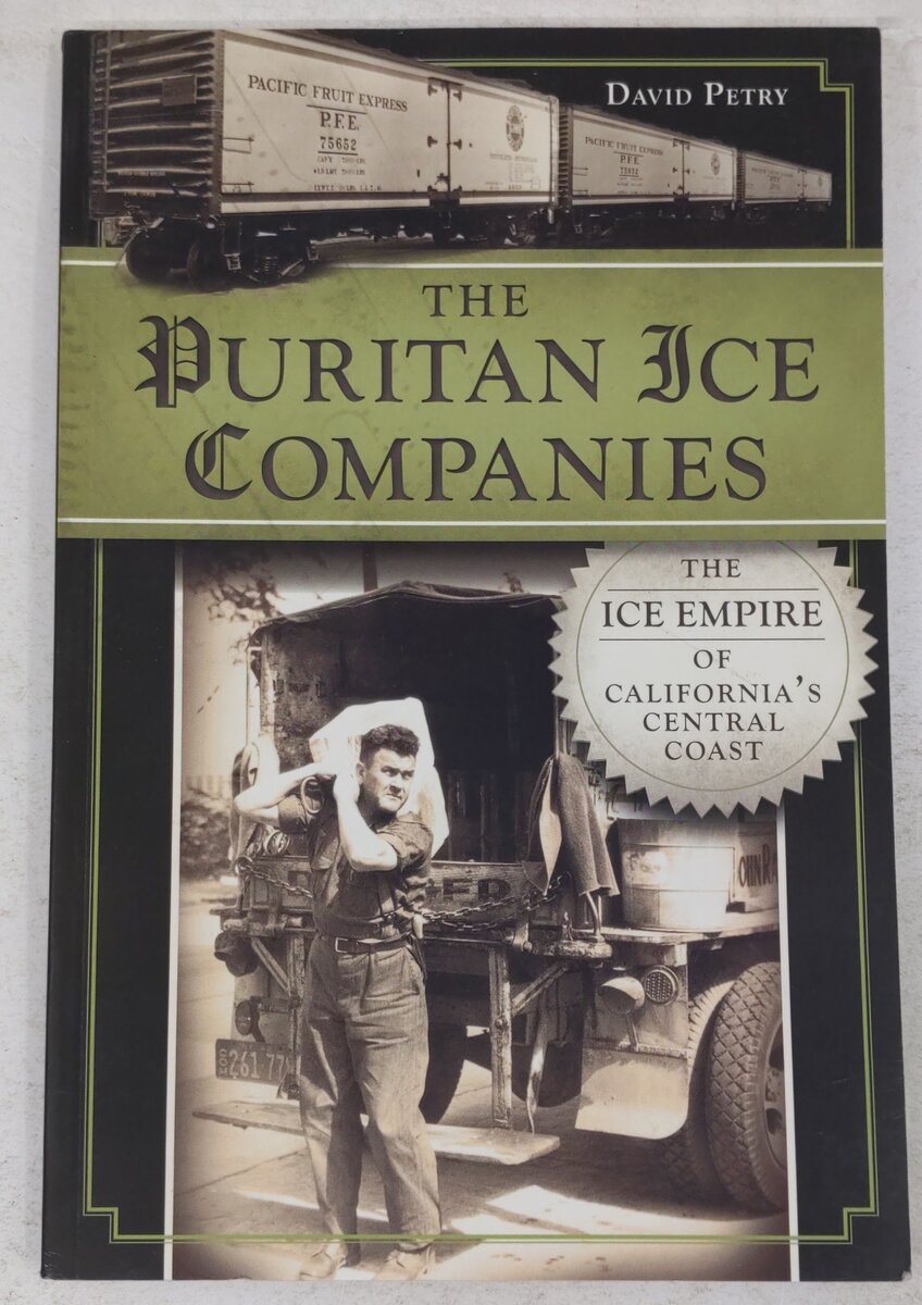 The Puritan Ice Companies Paperback Book By David Petry EX