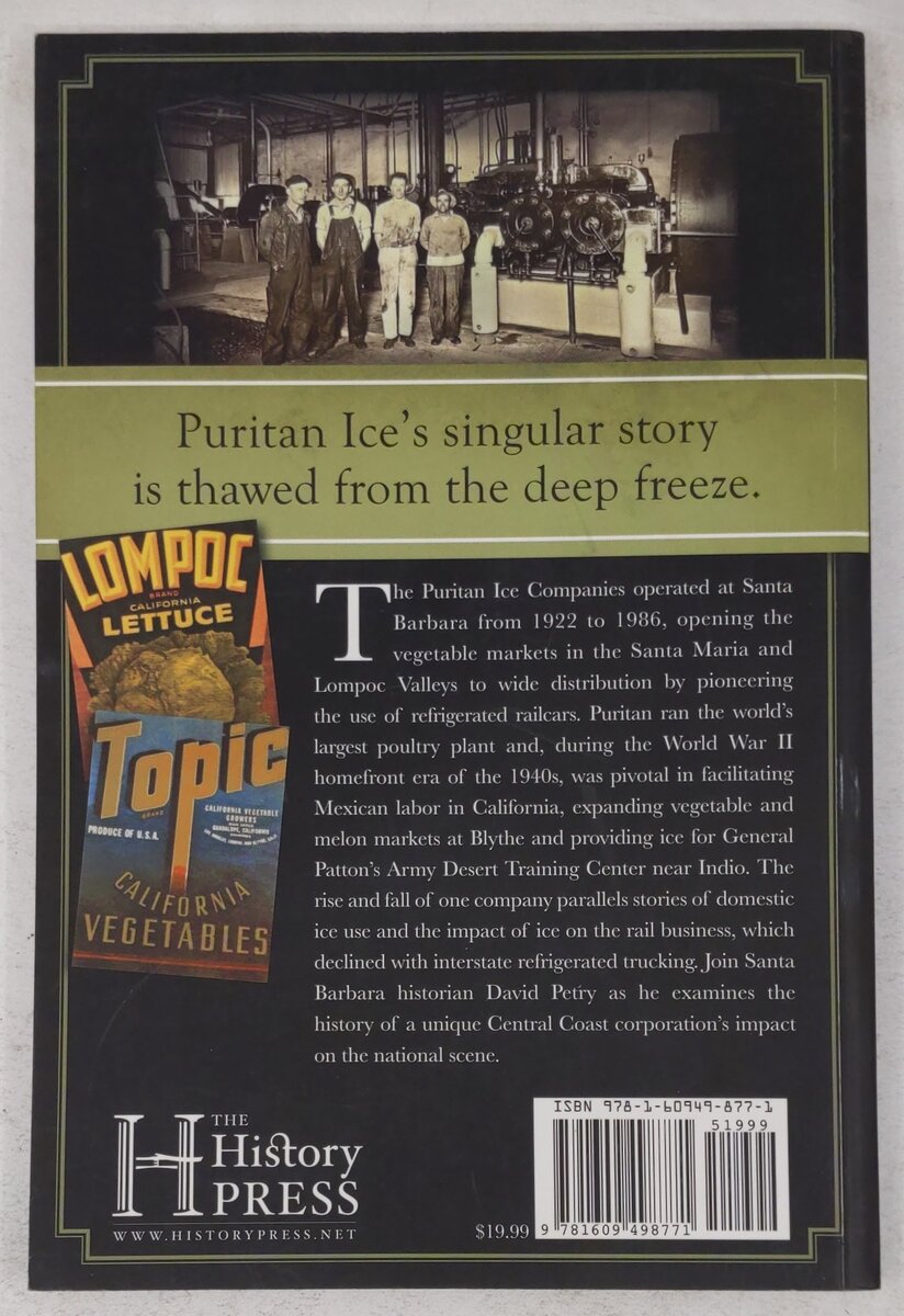 The Puritan Ice Companies Paperback Book By David Petry EX