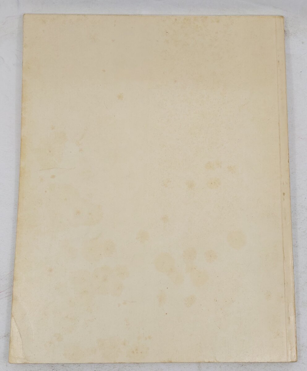 Illustrated Treasury of Pullman-Standard Railway Passenger Cars Since 1945: VoL2 VG