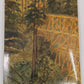 Pino Grande Paperback Book By R. S. Polkinghorn EX
