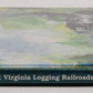 West Virginia Logging Railroads Hardcover Book By William Warden EX