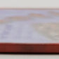 Animations for Your Layout Paperback Book By Roy Everett EX