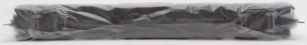 Rapido Trains 111001 HO Canadian National "Francoise Lake" Buffet-Parlor