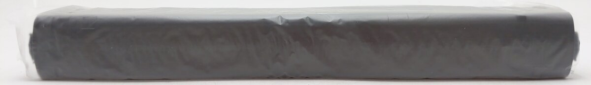 Rapido Trains 111001 HO Canadian National 