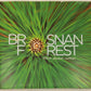 Brosnan Forest: This Land, Alive Hardcover Book By Susan Terpay, Josh Raglin VG