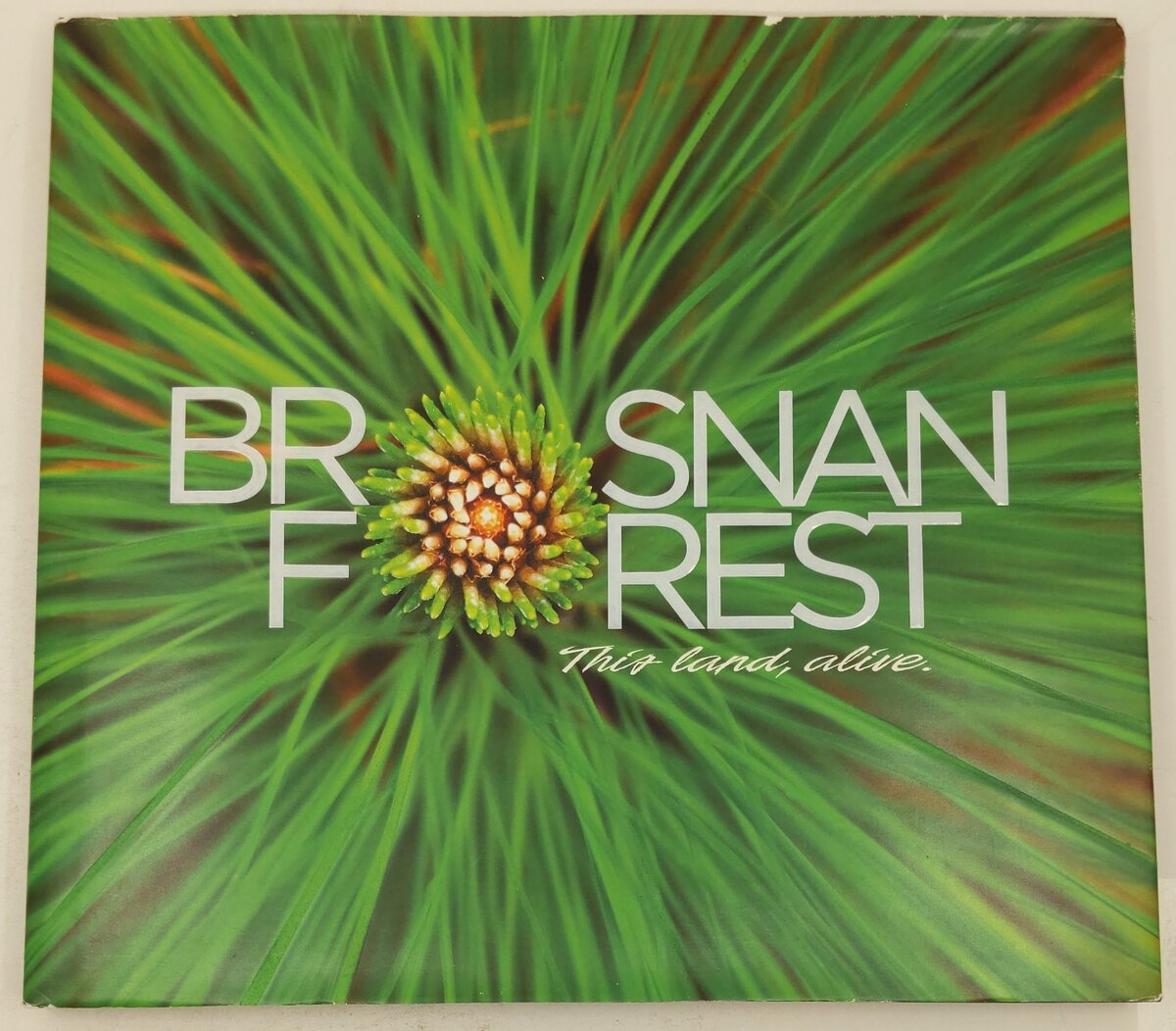 Brosnan Forest: This Land, Alive Hardcover Book By Susan Terpay, Josh Raglin VG