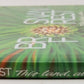 Brosnan Forest: This Land, Alive Hardcover Book By Susan Terpay, Josh Raglin VG