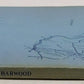 Rails To The Blue Ridge Paperback Book By Herbert H. Harwood Jr. VG
