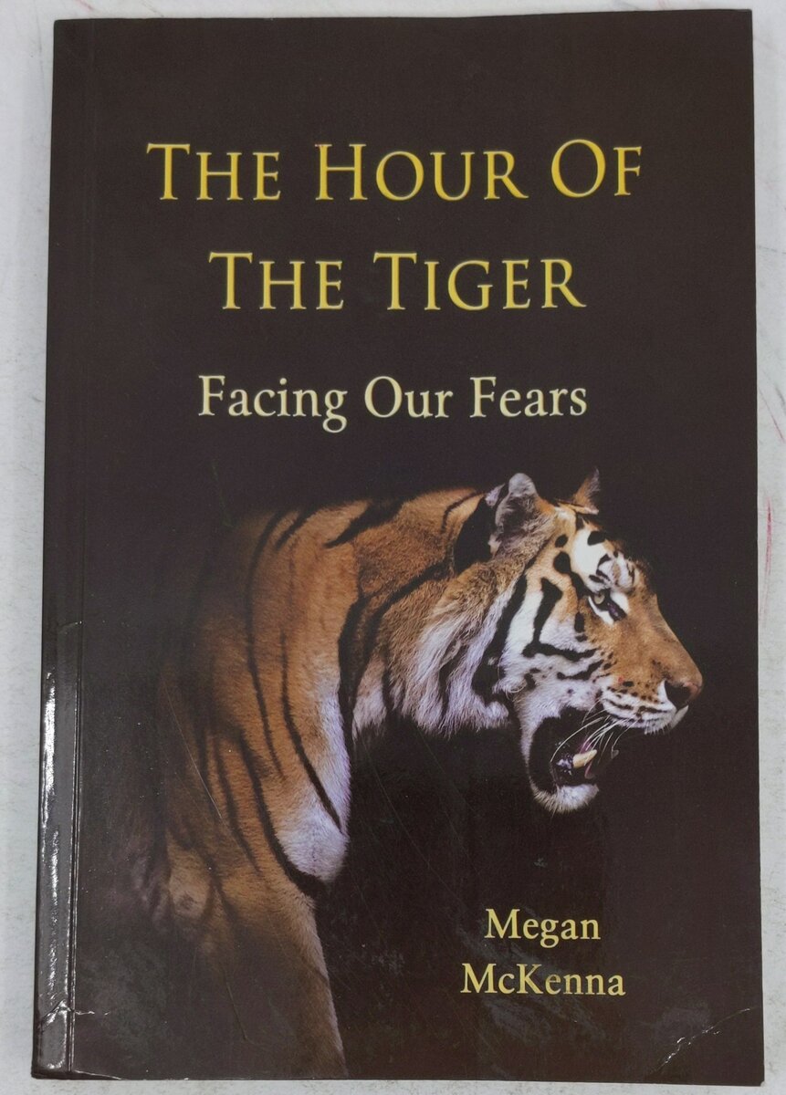 Hour of the Tiger: Facing Our Fears Paperback Book By Megan McKenna EX