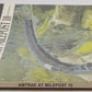 Amtrak At Milepost 10 Paperback Book By Karl Zimmermann VG