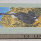 Ghost Railroads of Central Arizona Paperback Book By John W. Sayre VG