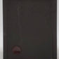 Goodwin No. 2 Vintage Box Camera EX/Box