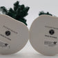 Dept 56 4030905 Village Accessories "Yosemite Spruce Tree" (Box of 2) NIB