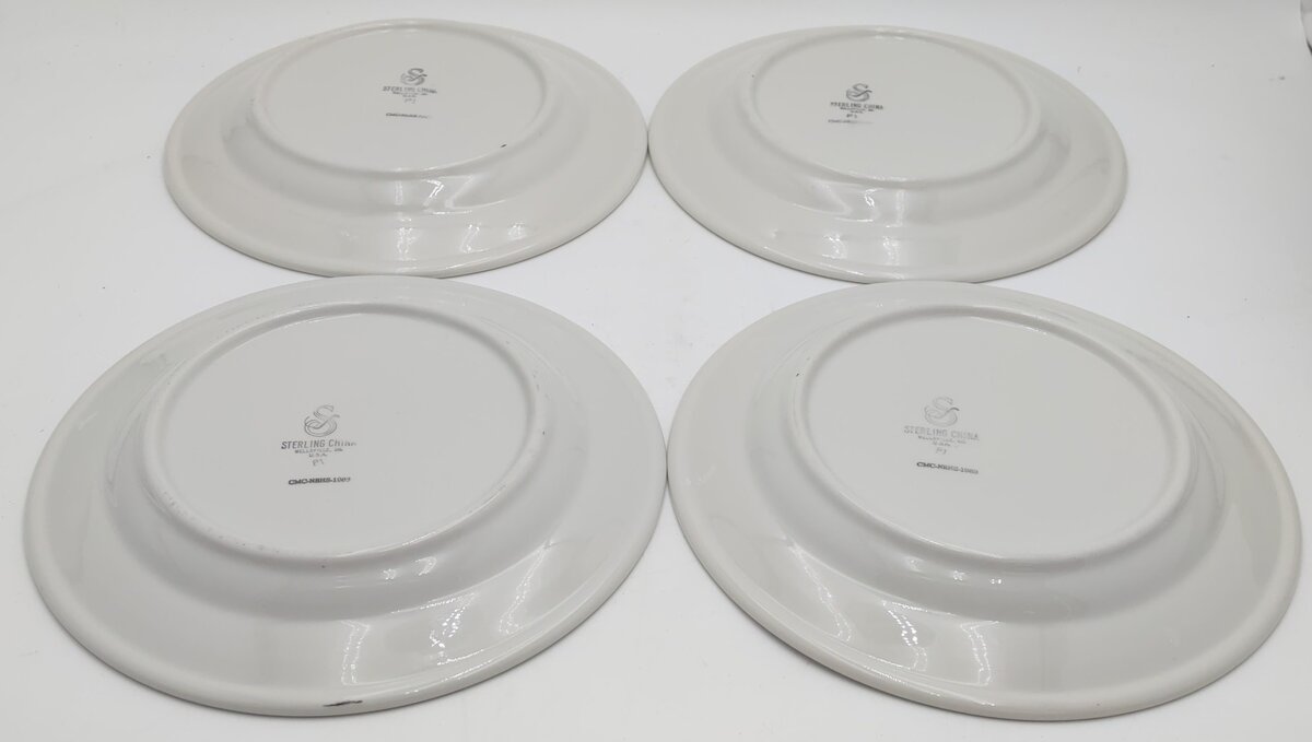 Sterling China Rio Grande Zephyr 9-3/4" Diameter Plates (Set of 4) EX