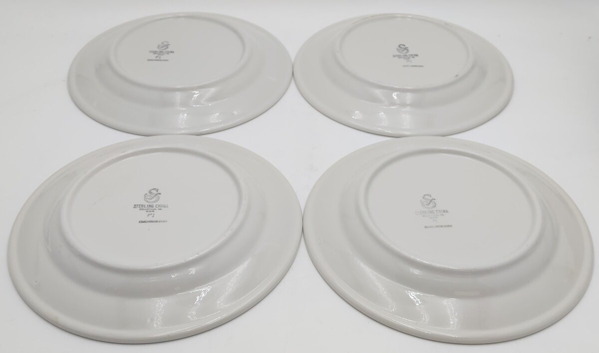 Sterling China Rio Grande Zephyr 9-3/4" Diameter Plates (Set of 4) EX