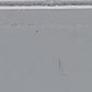 Micro-Trains 03800410 N Navy Series USS Astoria 50' Standard Boxcar #CA-34 LN/Box
