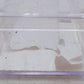 Life Like 7718 N Scale Borden's Farm Products 50' Mechanical Reefer #210 EX