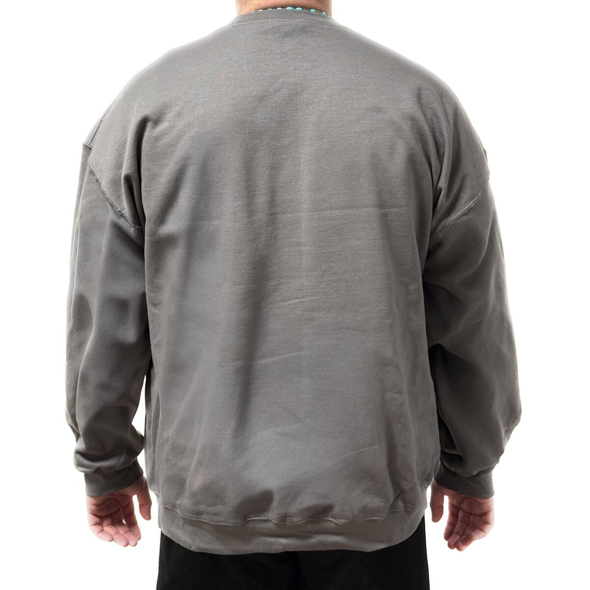 Trainz.com Trainz Official Gray Crew Neck Sweatshirt (XL)