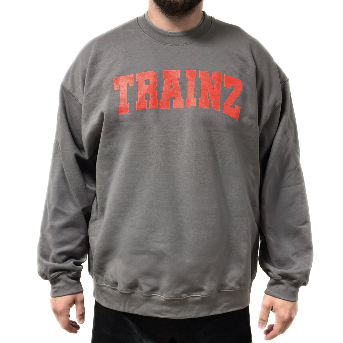Trainz.com Trainz Official Gray Crew Neck Sweatshirt (XL)