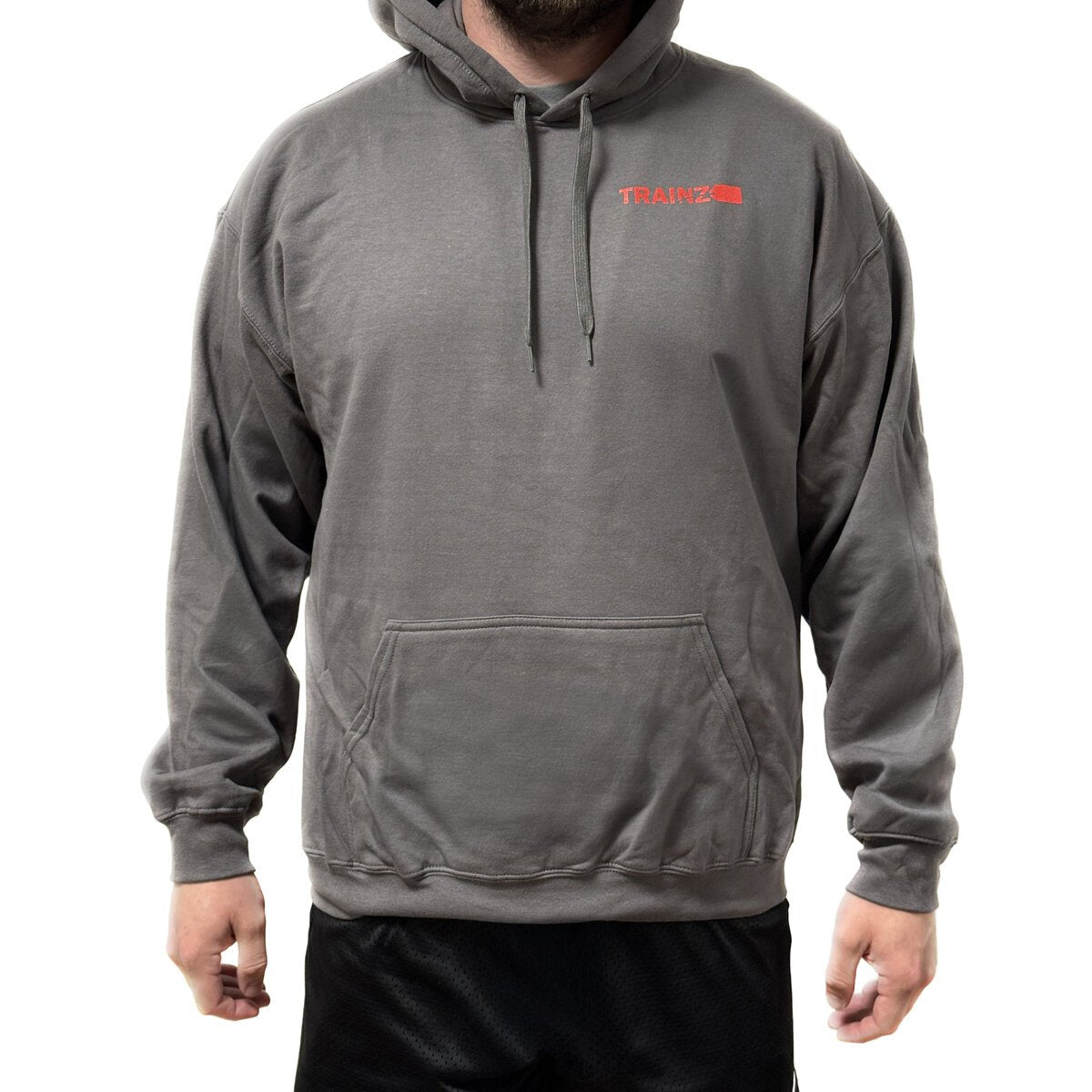 Trainz.com Trainz Official Gray Hoodie (LARGE)