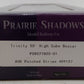 Prairie Shadows PS8022A05-01 HO Scale Trinity 50' High Cube Box Car #409157 LN/Box