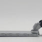 Conrad 1:50 Die-Cast Freightliner Semi-Truck & Talbert Lowboy Trailer EX