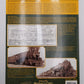 Chesapeake & Ohio 2-10-2 Santa Fe Type Steam Locomotives Paperback Book VG