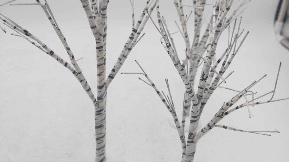 Dept 56 52636 Winter Birch Trees (Set of 6) EX/Box