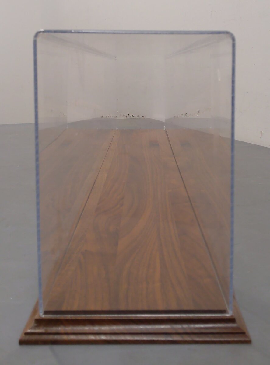 49" G Scale Acrylic Display Case w/Wooden Base LN