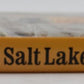The Los Angeles & Salt Lake Railroad Company Hardcover Book By John R. Signor VG