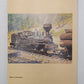 Pino Grande Hardcover Book By R.S. Polkinghorn VG