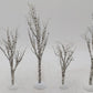 Dept 56 52636 Winter Birch Trees [5] EX