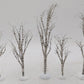Dept 56 52636 Winter Birch Trees [5] EX