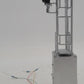NJ International 3071 BRASS House/Mast Combination Signal D Type EX/Box