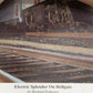 Richard Pedersen "Electric Splendor on Hell Gate" 16" x 20"  Print LN