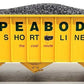 USA Trains R14019 G Peabody 70-Ton 3-Bay Coal Hopper with Coal Load #6638 LN/Box