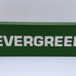 USA Trains R1722B G Evergreen 40' Container with Corrugated Sides EX