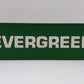 USA Trains R1722B G Evergreen 40' Container with Corrugated Sides EX