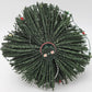 Lionel 7-22991 O Gauge Christmas Tree w/Blue Comet Train EX/Box