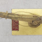 Overland OMI-2112 HO BRASS Poage Style 'H' Water Column w/ Fenner Spout EX/Box